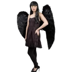 Ailes Ange Noir