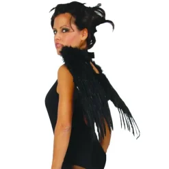 Ailes d'Ange des Ténèbres en Plumes Noires