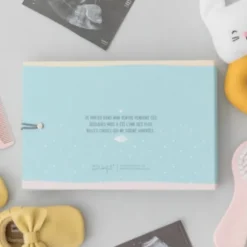 Album 9 Mois et Tout Plein de Super Moments - Mr. Wonderful