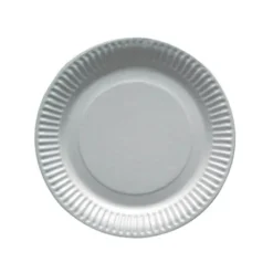 100 assiettes blanches en carton recyclable - Diamètre 21 cm