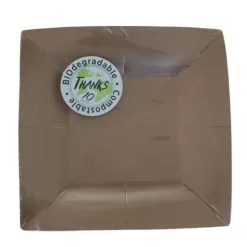 10 Assiettes Carrées Compostables Rainbow 18 cm - Couleur au choix