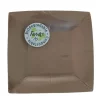 10 Assiettes Carrées Compostables Rainbow 23 cm - Couleur au choix