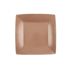 10 Assiettes Carrées Compostables Rainbow 23 cm - Couleur au choix