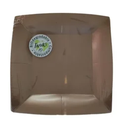 10 Assiettes Carrées Compostables Rainbow 23 cm - Couleur au choix