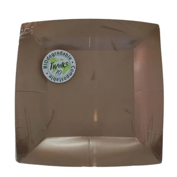 10 Assiettes Carrées Compostables Rainbow 23 cm - Couleur au choix