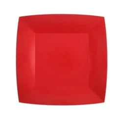 10 Assiettes Carrées Compostables Rainbow 23 cm - Couleur au choix