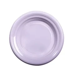 25 Assiettes Creuses Réutilisables - 22 cm