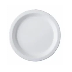 10 Assiettes en Carton - Biodégradable et Compostable
