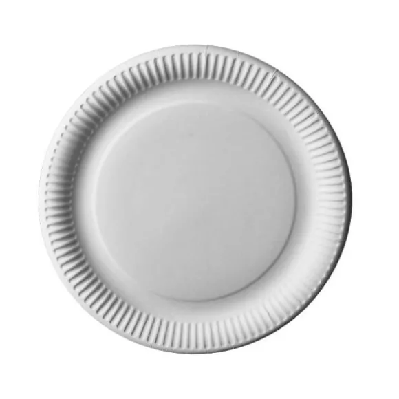 12 Assiettes en Carton - 29 cm - Blanc - "Pure"
