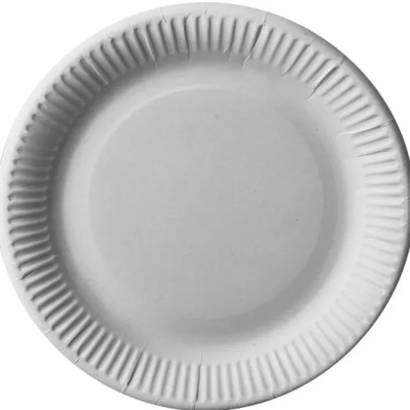 25 Assiettes en Carton - 23 cm - Blanc - "Pure"