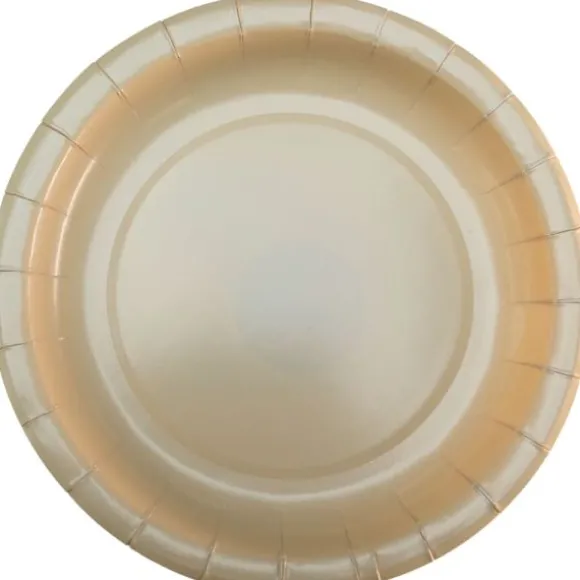 10 assiettes en carton - Diamètre 22 cm - Couleur au choix