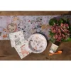 10 Assiettes en carton - Explorateur - 22,5 cm