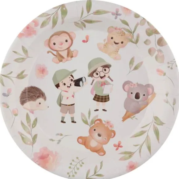 10 Assiettes en carton - Explorateur - 22,5 cm