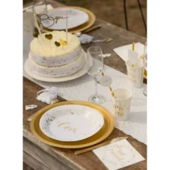 10 Assiettes en Carton