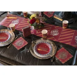 10 Assiettes en carton - Sorcier - 22,5 cm