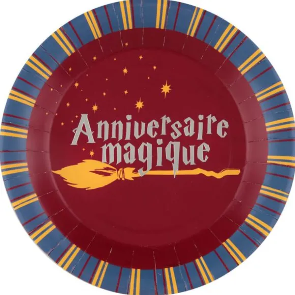 10 Assiettes en carton - Sorcier - 22,5 cm