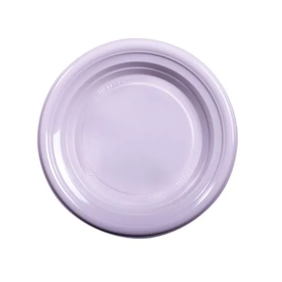 25 Assiettes Plates Réutilisables - 22 cm