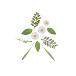 Assortiment de décorations à parsemer - 11 pièces - Collection Daisy