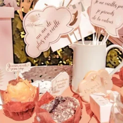 Assortiment de 12 Pics - Collection Boho Blush et Or