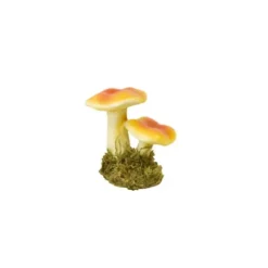Automne - Girolles avec mousse