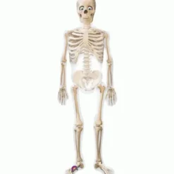 Ballon Hélium Halloween AirWalker Squelette Géant