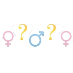 Banderole de 5 mètres - Girl or Boy ?