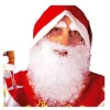 Barbe du Père Noël