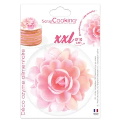 12 bougies longues métallisées - 12 cm - Couleur au choix