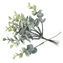 10 Branches d'Eucalyptus Givrées sur Tige