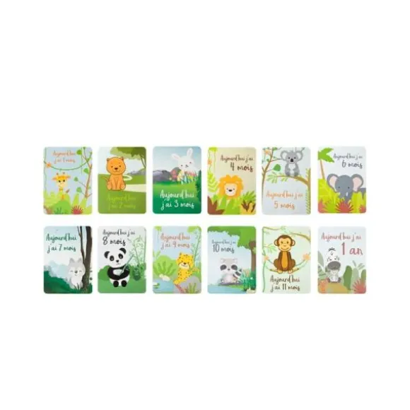 Cartes d'évolution des 12 premiers mois
