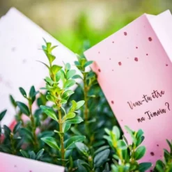 2 Cartes à Gratter - Veux tu être ma témoin - Rose Gold