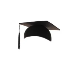 Chapeau d'Etudiant Américain pour adulte
