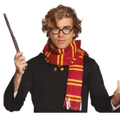 Écharpe et lunettes de sorcier