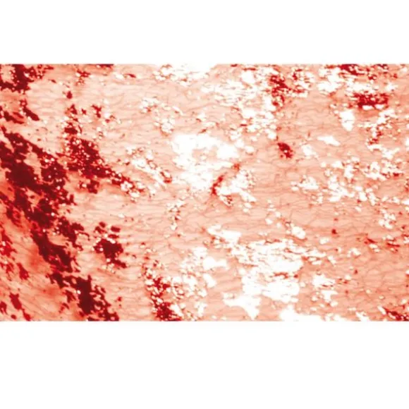 Chemin de table Eclat – Rouge