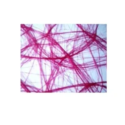 Chemin de Table Intissé 30 cm x 5 M – Fuchsia