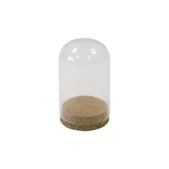 Cloche en verre sur support en liège - 10 x 6,5 cm