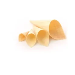 100 Cônes en bois (FSC®) - 13 cm