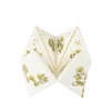 8 cocottes de 8 questions - 17 x 17 cm - Collection Botanica Verde