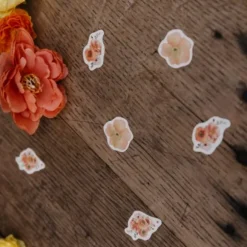 100 confettis en papier à parsemer FSC® - Collection Peachy