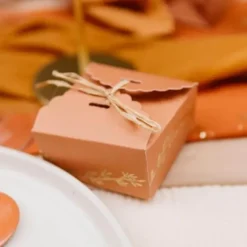10 Contenants avec Raphia - Collection Jolis Brins - Terracotta et Or
