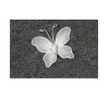 Décoration de Table - Papillon Blanc