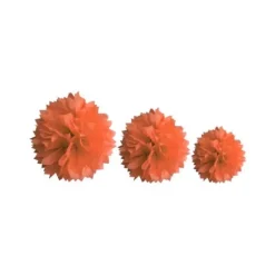 Décoration Pompon Corail - assortiment de 3 tailles