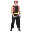 Déguisement Prince des Voleurs Homme - Taille Unique
