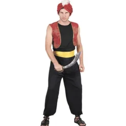 Déguisement Prince des Voleurs Homme - Taille Unique
