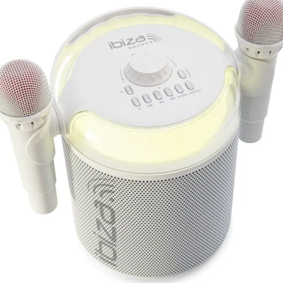 Enceinte Bluetooth autonome spécial "Karaoké" - KARAHOME