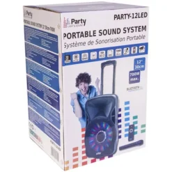 Enceinte portable 12'' 700W avec Micro