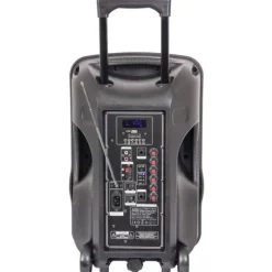 Enceinte portable 12'' 700W avec Micro