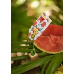 10 Etiquettes Pastèque "Tropical"