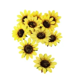 12 Fleurs de Tournesol Ø 8cm
