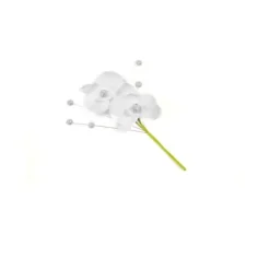 3 Fleurs d'Orchidée Blanches avec leurs Perles